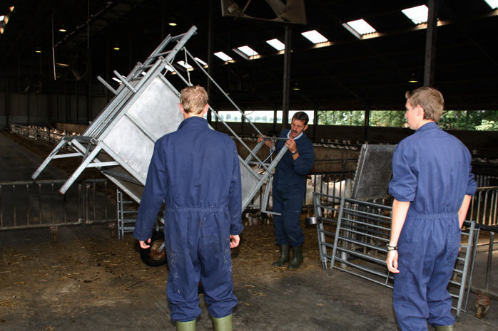 De klauwbehandelwagen wordt in de geitenstal geplaatst.