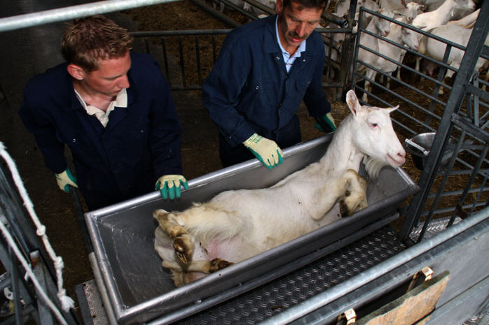 Door gebruik van het juiste materiaal. - Verloopt het gehele traject rustig en soepel.